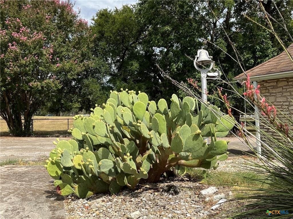 113.38 acres in Lampasas County - photo 11