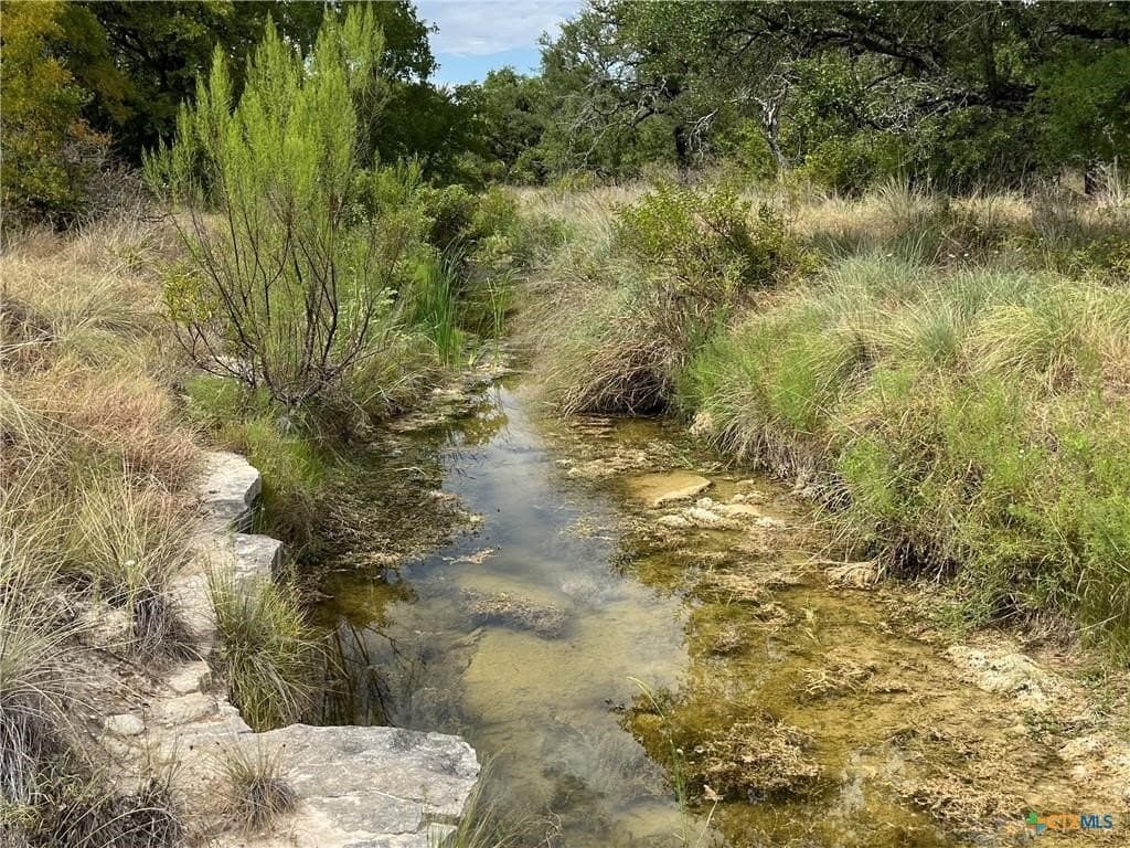 113.38 acres in Lampasas County - photo 2