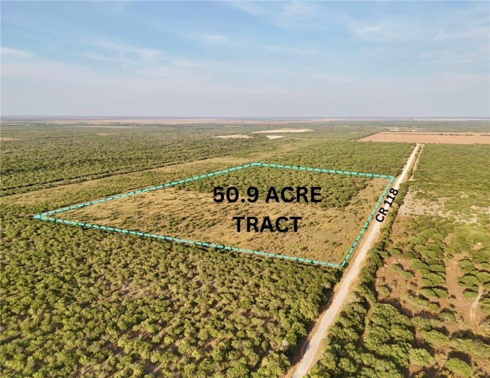 549.9 acres in Jim Wells County gallery image 4