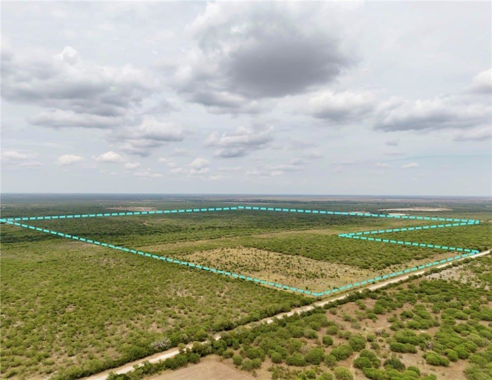549.9 acres in Jim Wells County gallery image 2