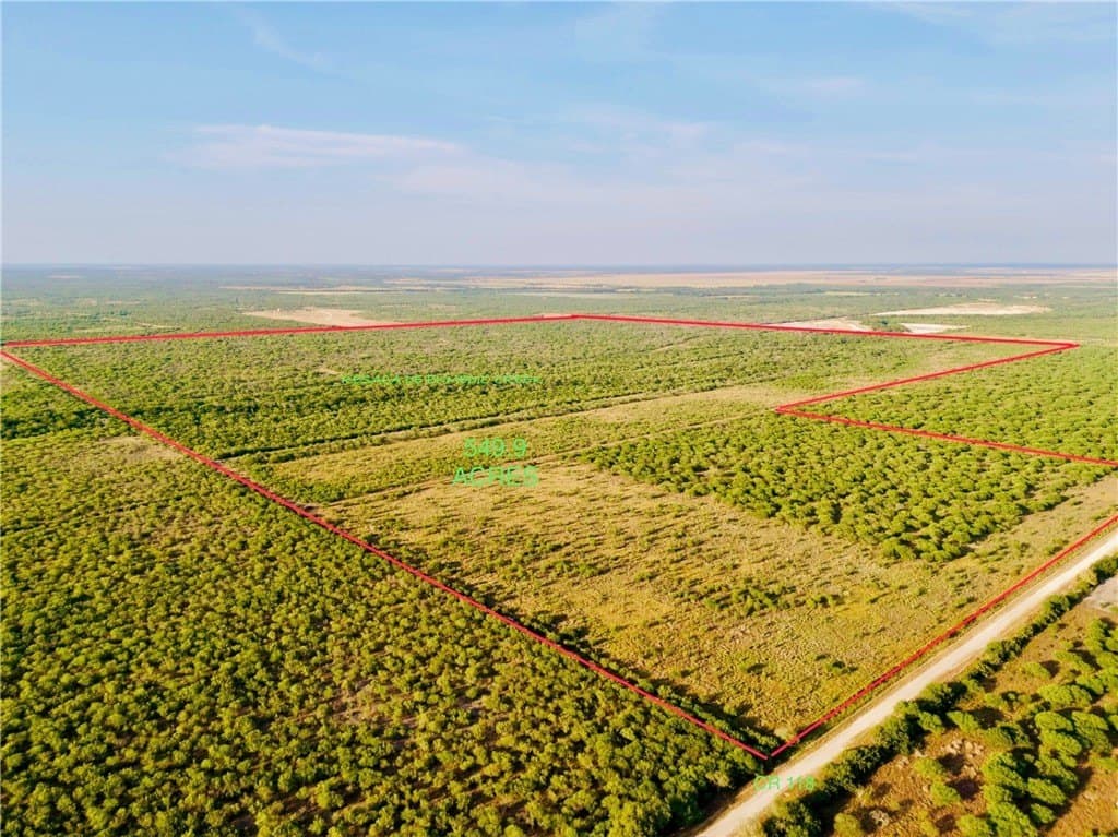 549.9 acres in Jim Wells County - photo 21