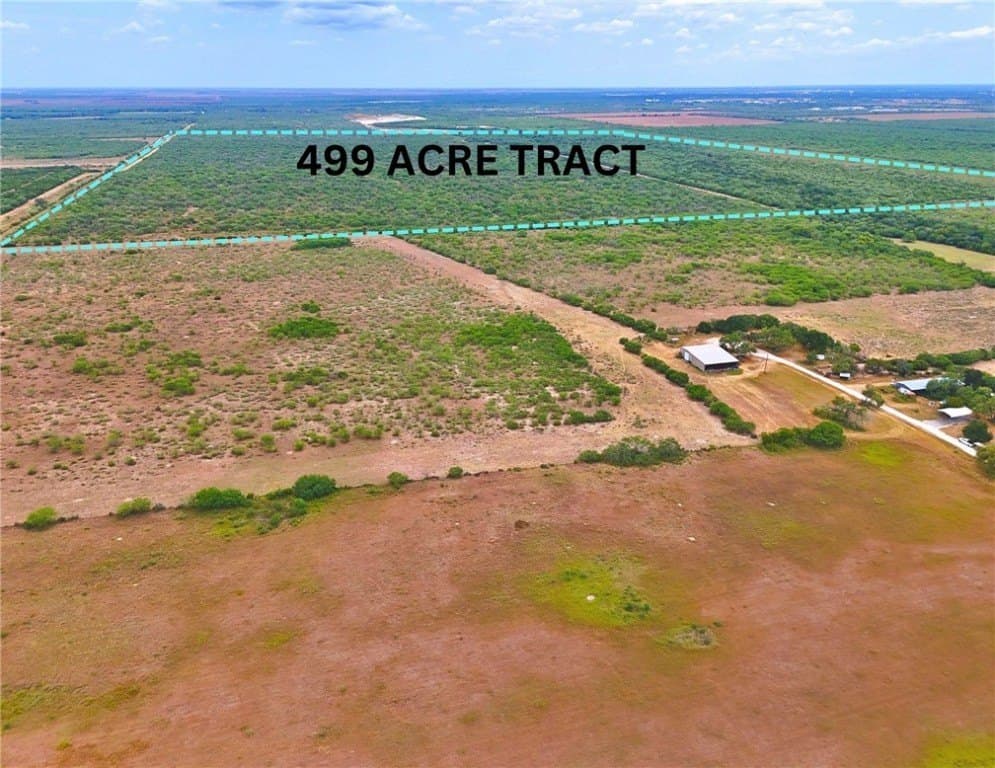 549.9 acres in Jim Wells County gallery image 3