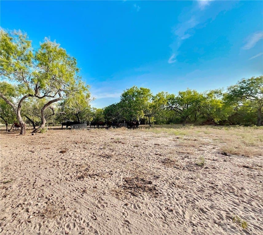 549.9 acres in Jim Wells County - photo 7