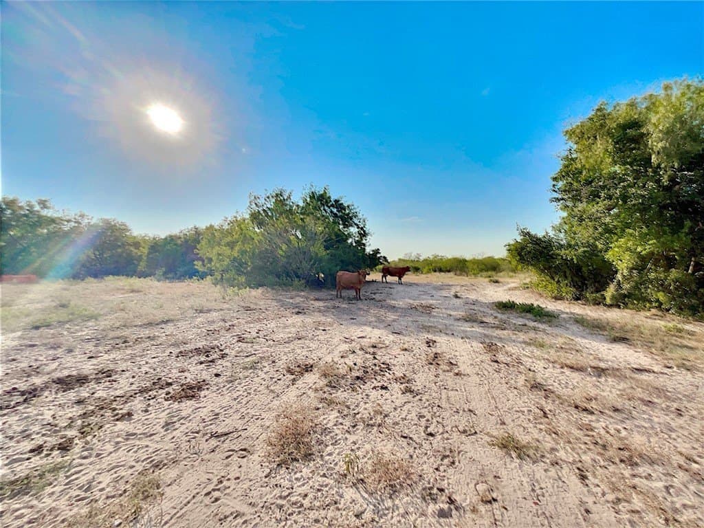 549.9 acres in Jim Wells County - photo 8