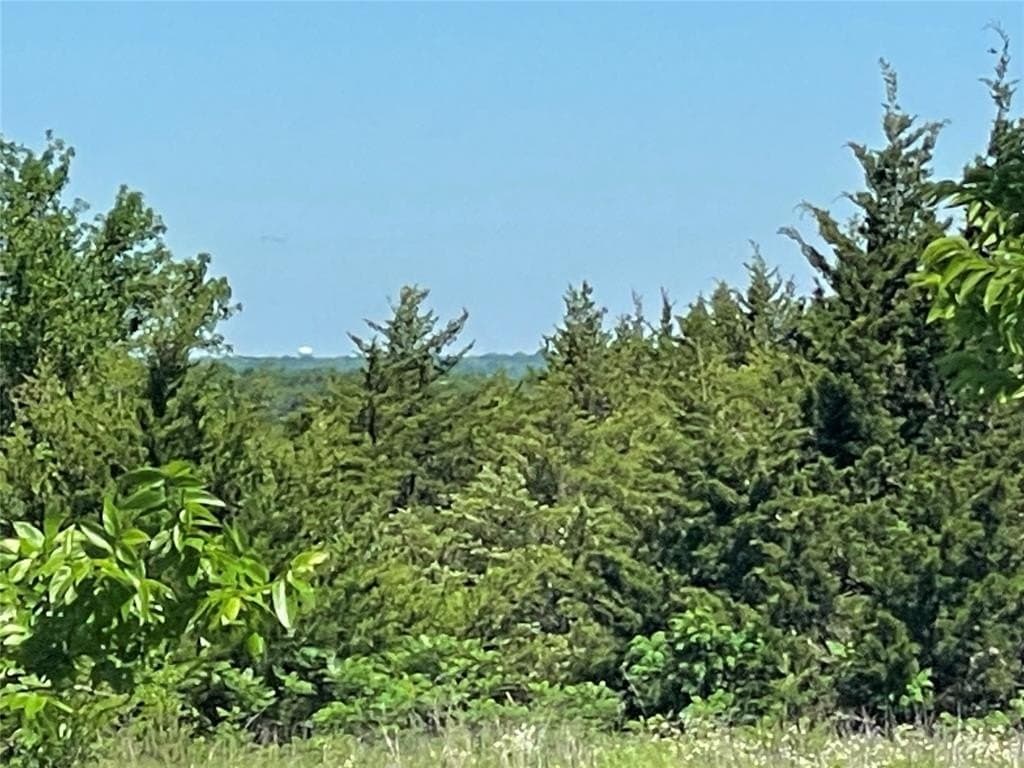 15.42 acres in Grayson County gallery image 3