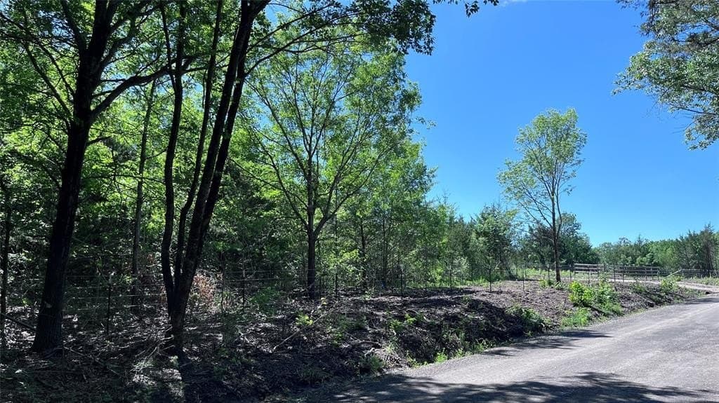 15.42 acres in Grayson County gallery image 4