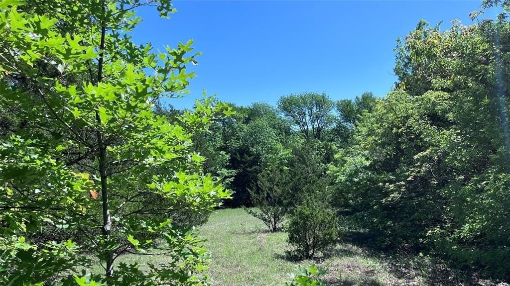 15.42 acres in Grayson County featured view