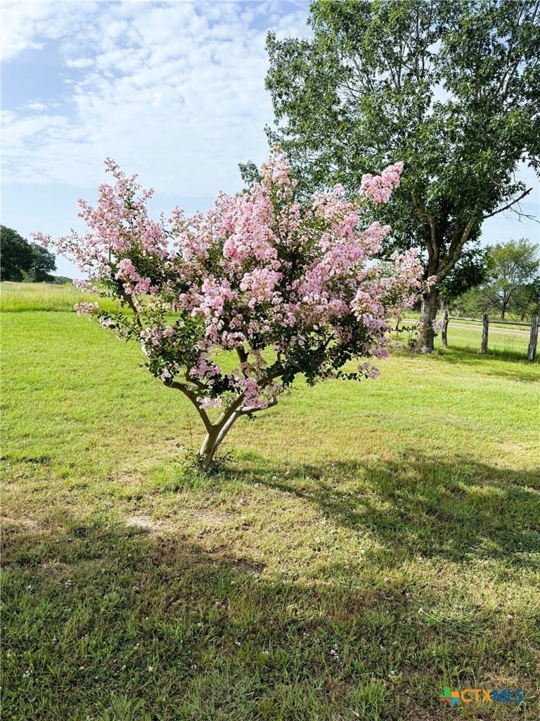 29.5 acres in Robertson County - photo 27