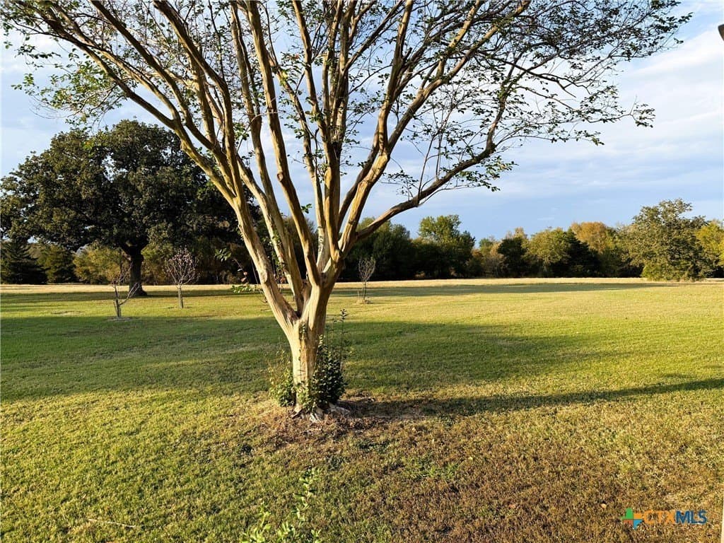 29.5 acres in Robertson County - photo 28