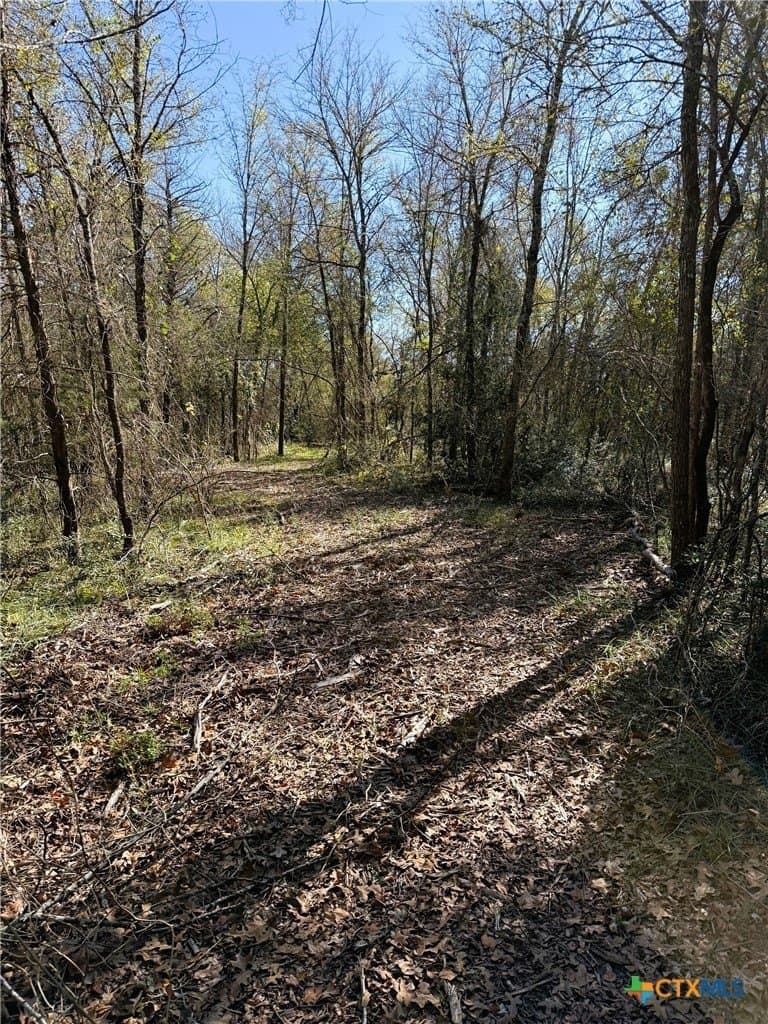29.5 acres in Robertson County - photo 45