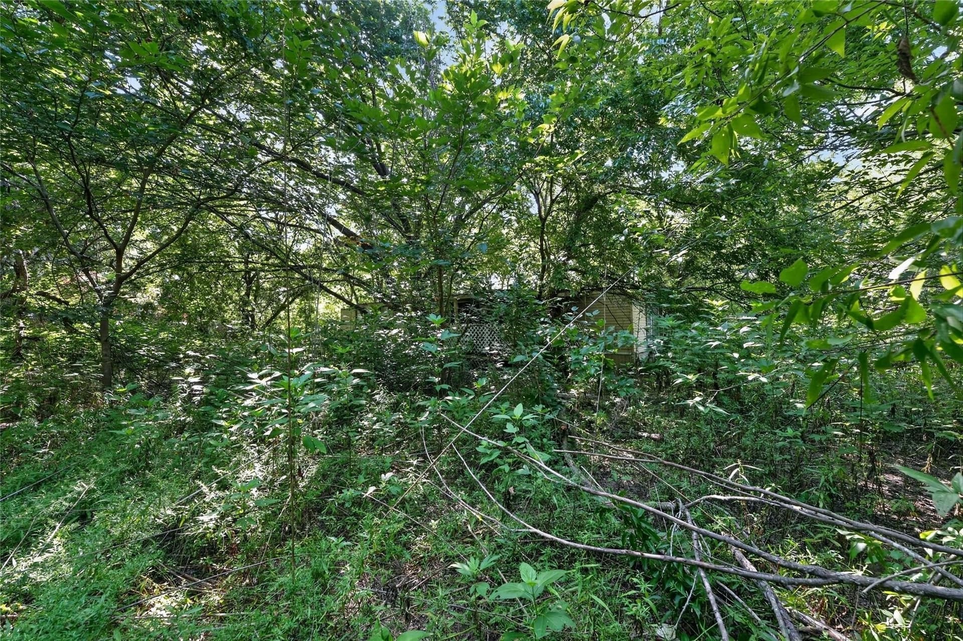 1.66 acres in Navarro County - photo 11