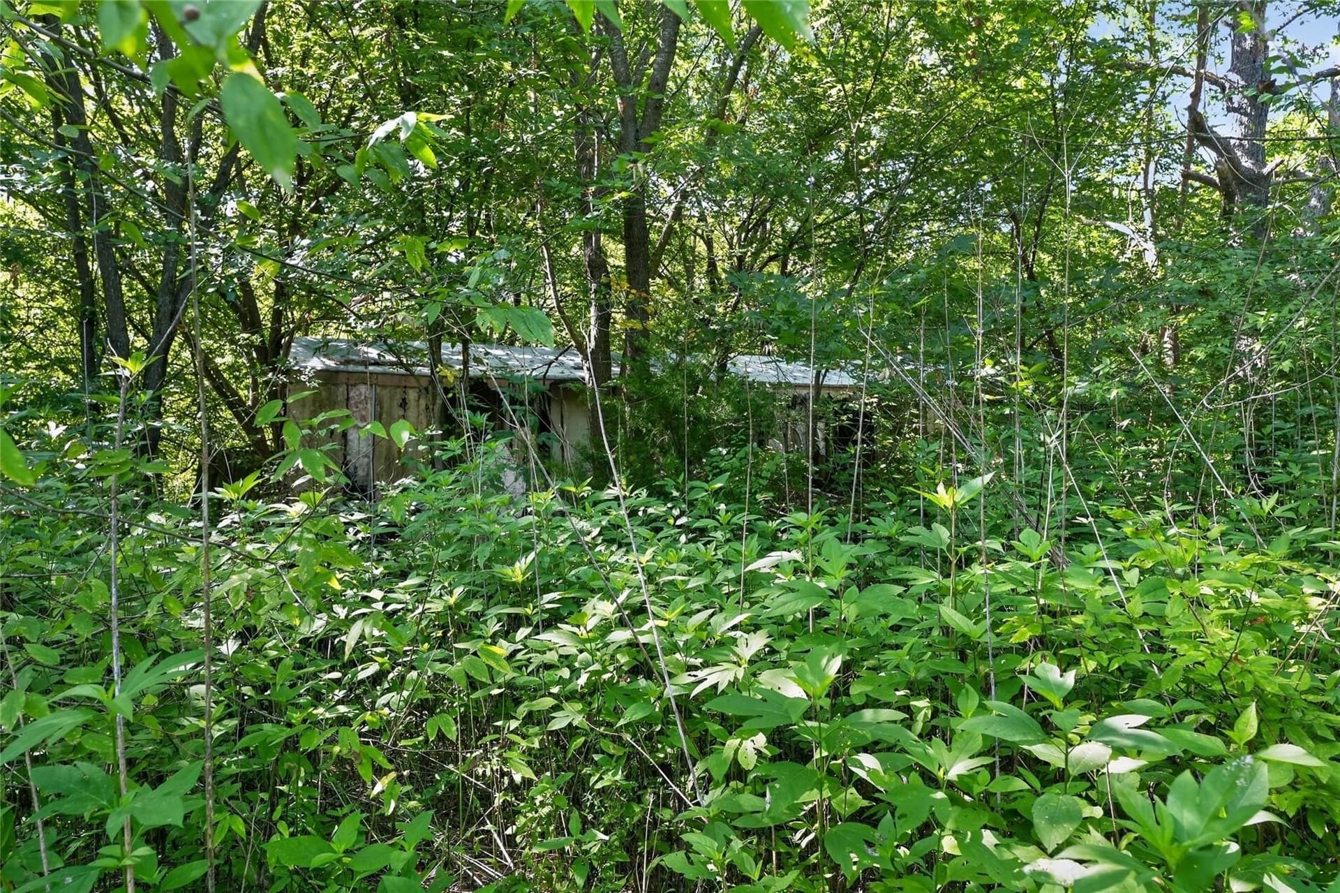 1.66 acres in Navarro County - photo 10