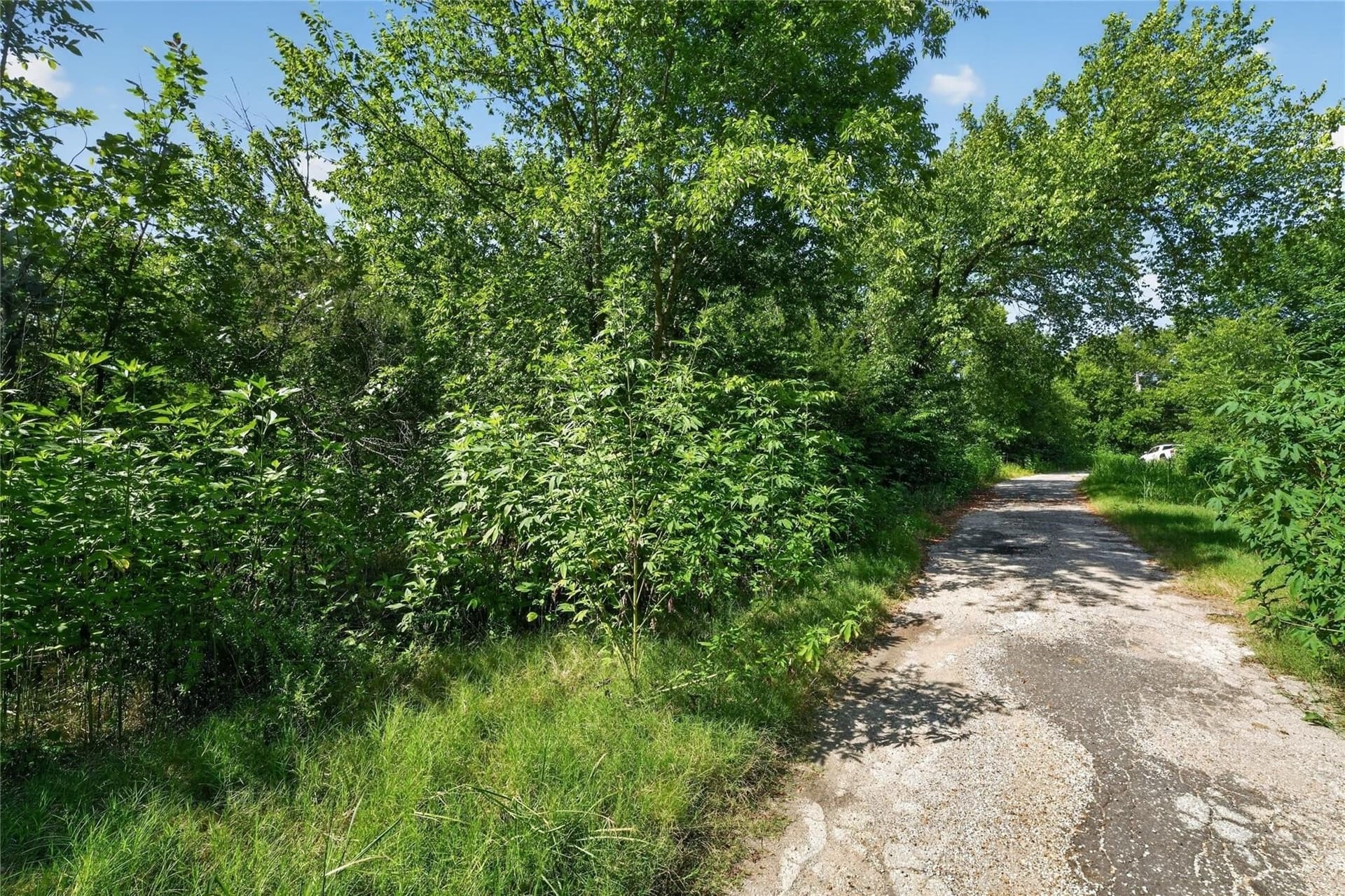 1.66 acres in Navarro County - photo 13