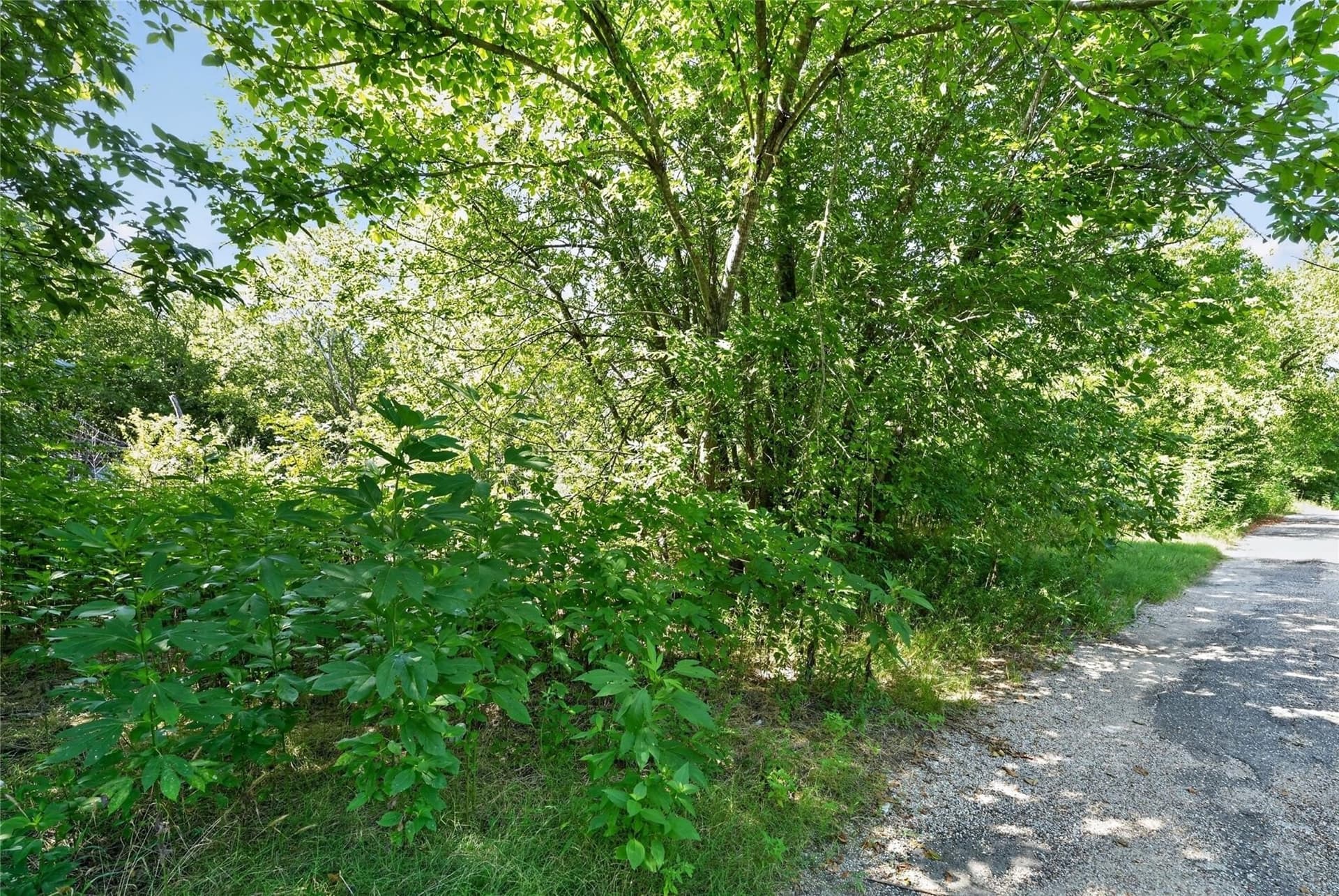 1.66 acres in Navarro County - photo 12
