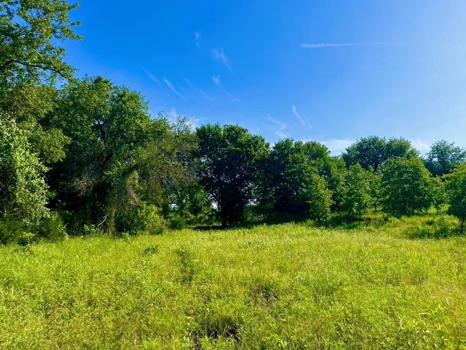 2.04 acres in Parker County - photo 2