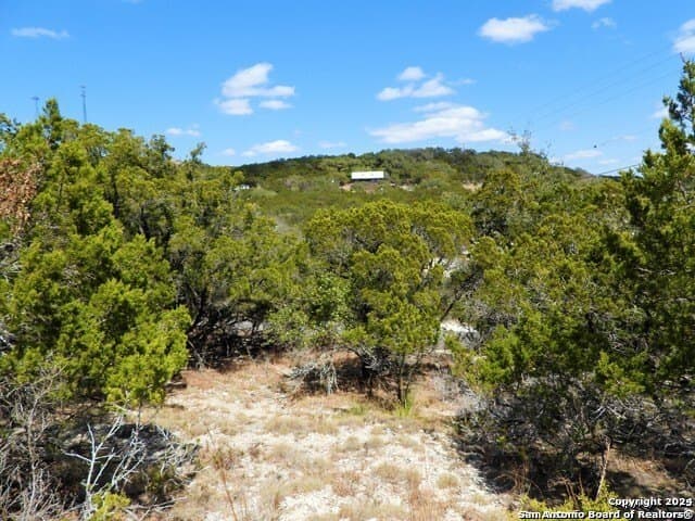 0.72 acres in Bandera County gallery image 3