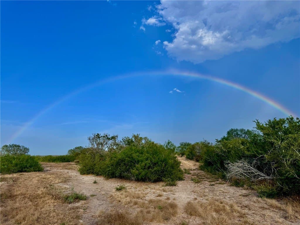 20.9 acres in Duval County - photo 6