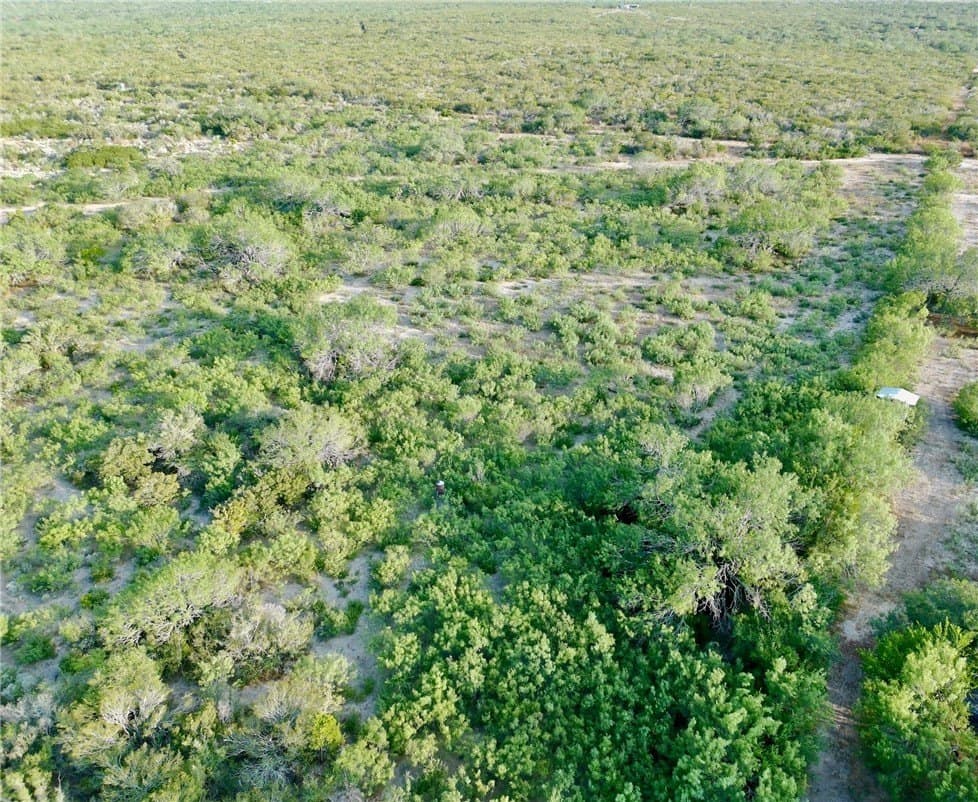 20.9 acres in Duval County - photo 7