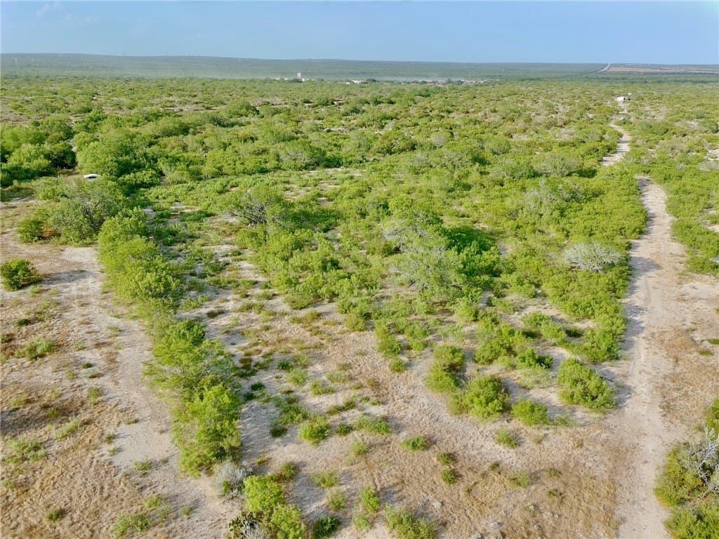 20.9 acres in Duval County - photo 4