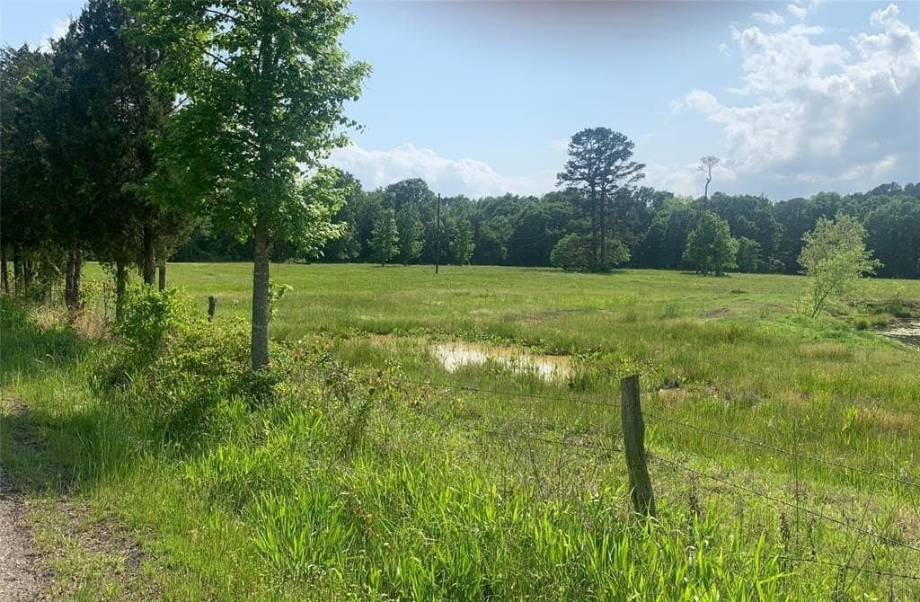 18.93 acres in Titus County