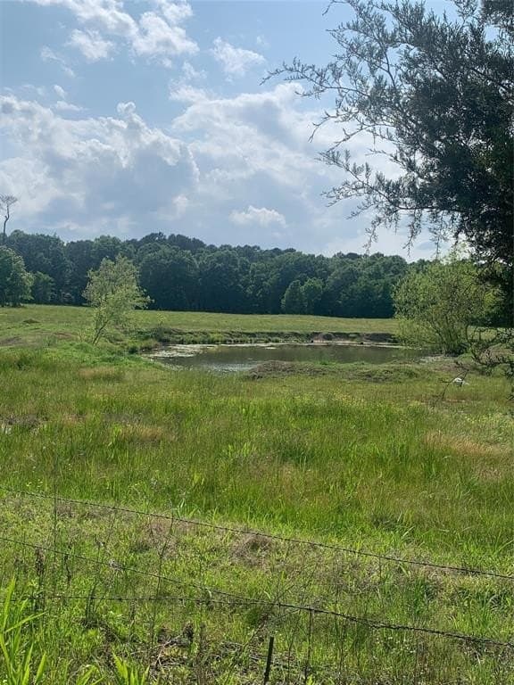 18.93 acres in Titus County gallery image 2