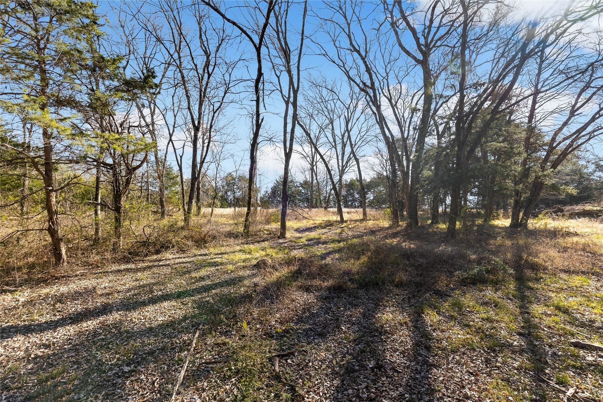 37.3 acres in Hopkins County - photo 22