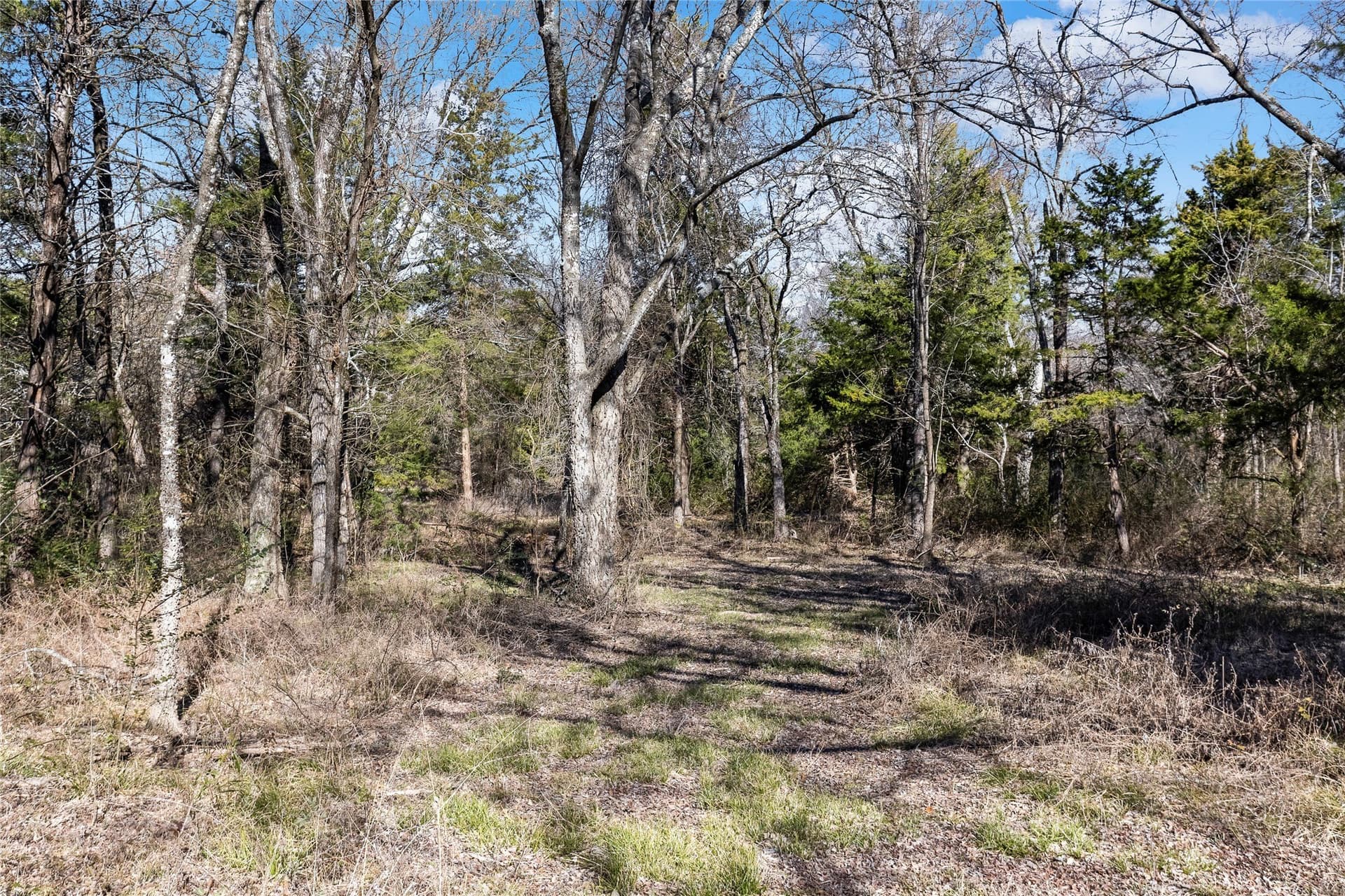 37.3 acres in Hopkins County - photo 34