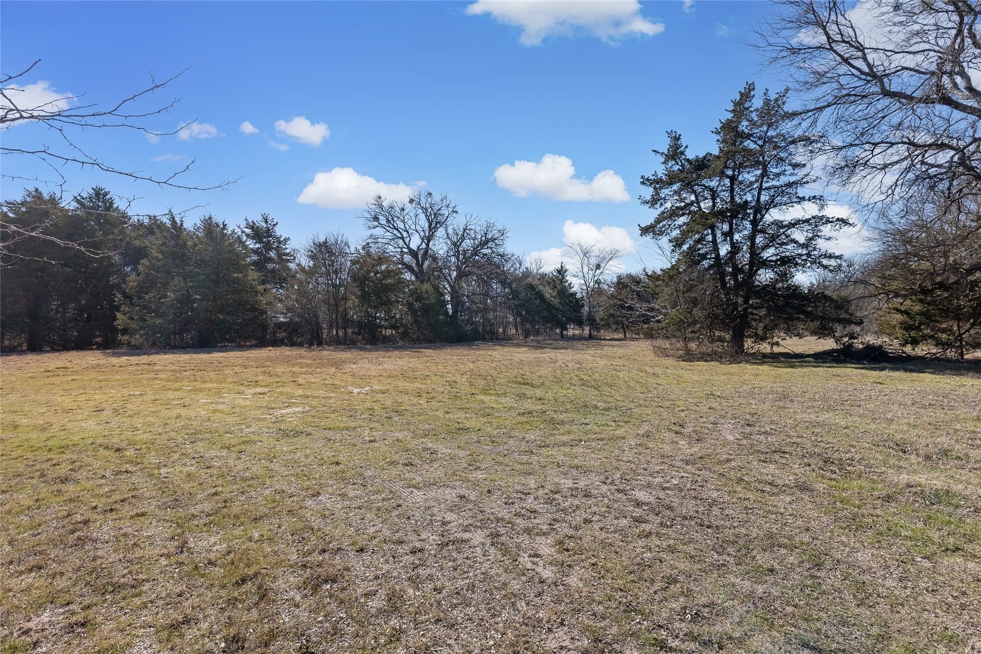 37.3 acres in Hopkins County - photo 24