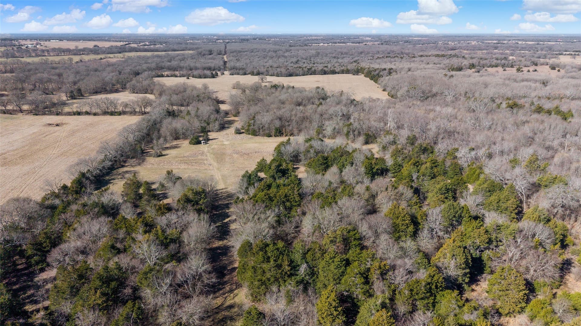 37.3 acres in Hopkins County - photo 32