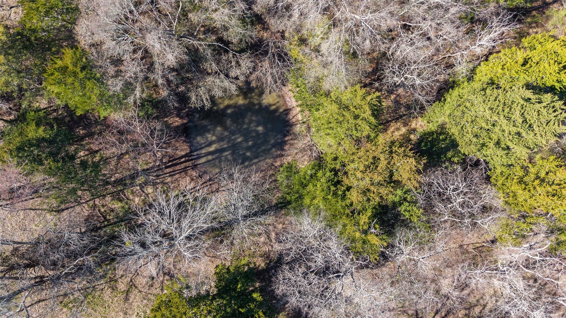 37.3 acres in Hopkins County - photo 29