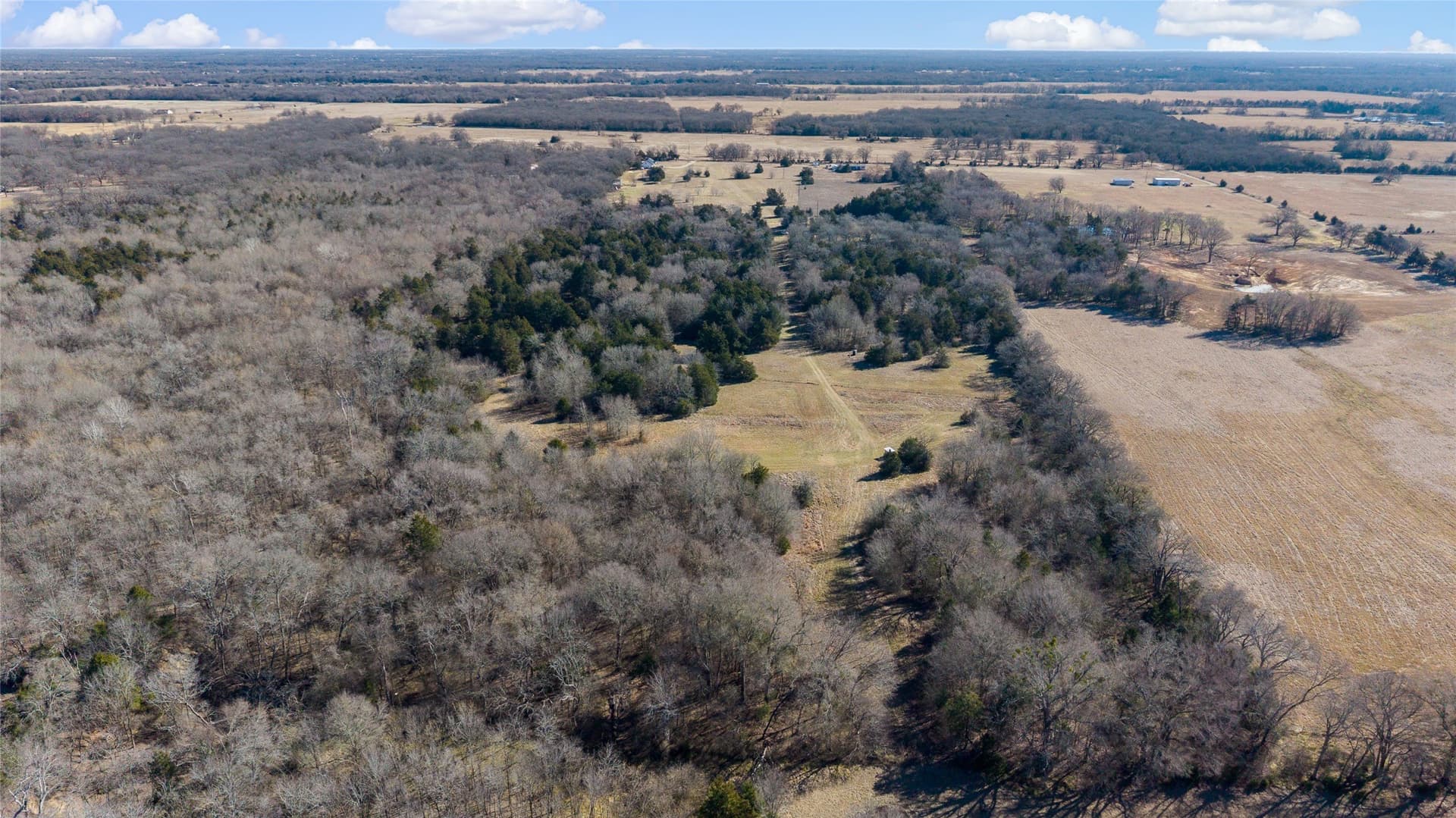 37.3 acres in Hopkins County - photo 17