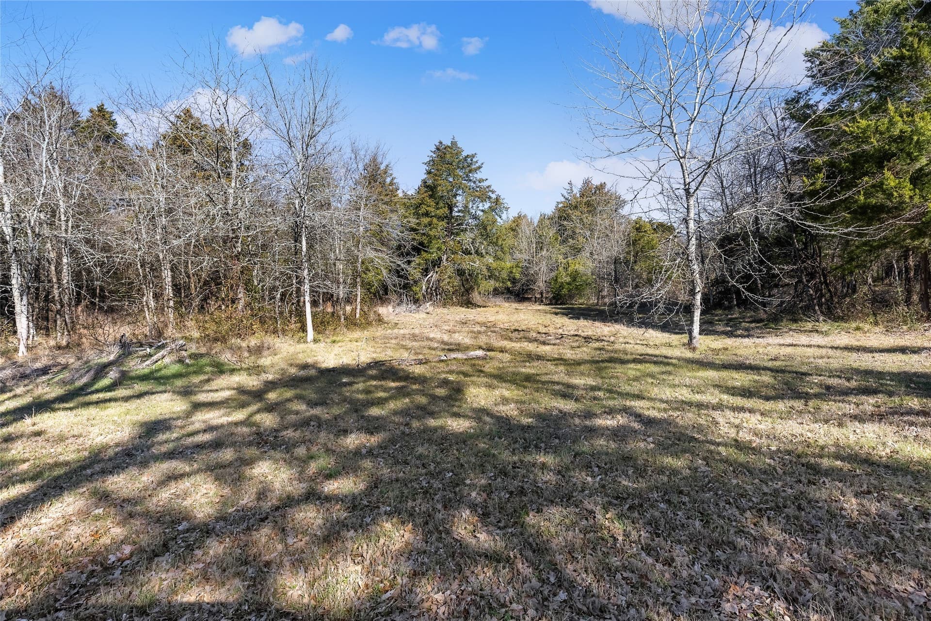 37.3 acres in Hopkins County - photo 37