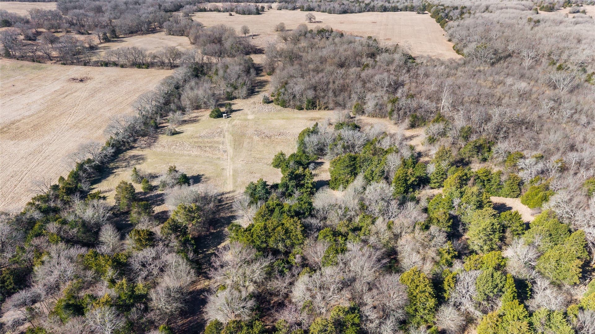 37.3 acres in Hopkins County - photo 28
