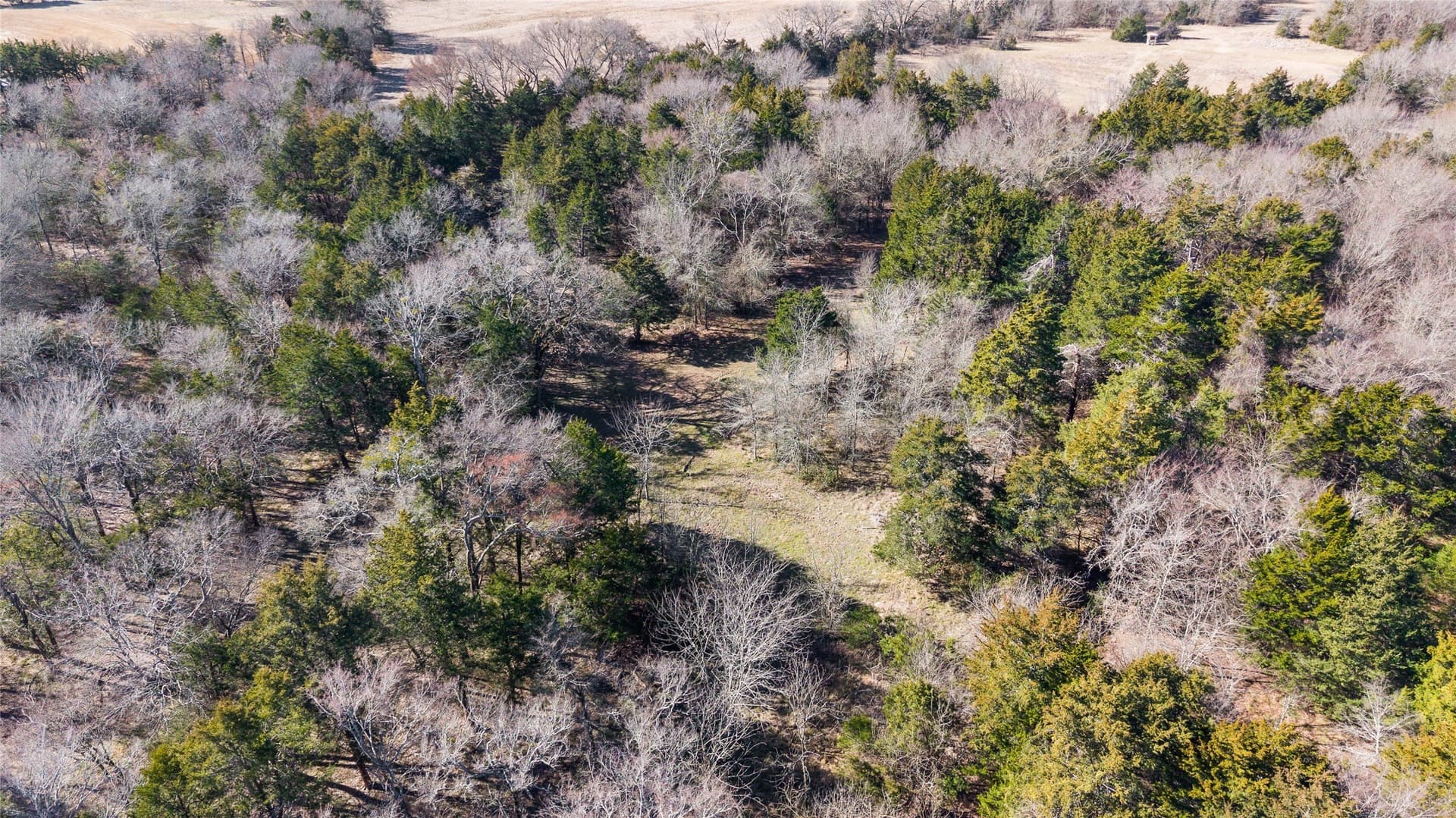 37.3 acres in Hopkins County - photo 27