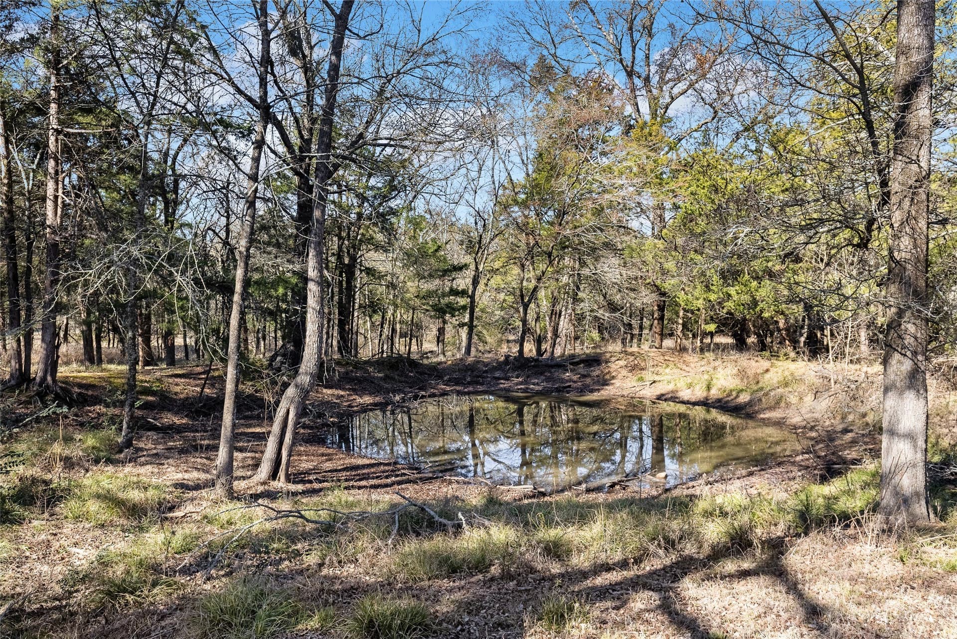 37.3 acres in Hopkins County - photo 30