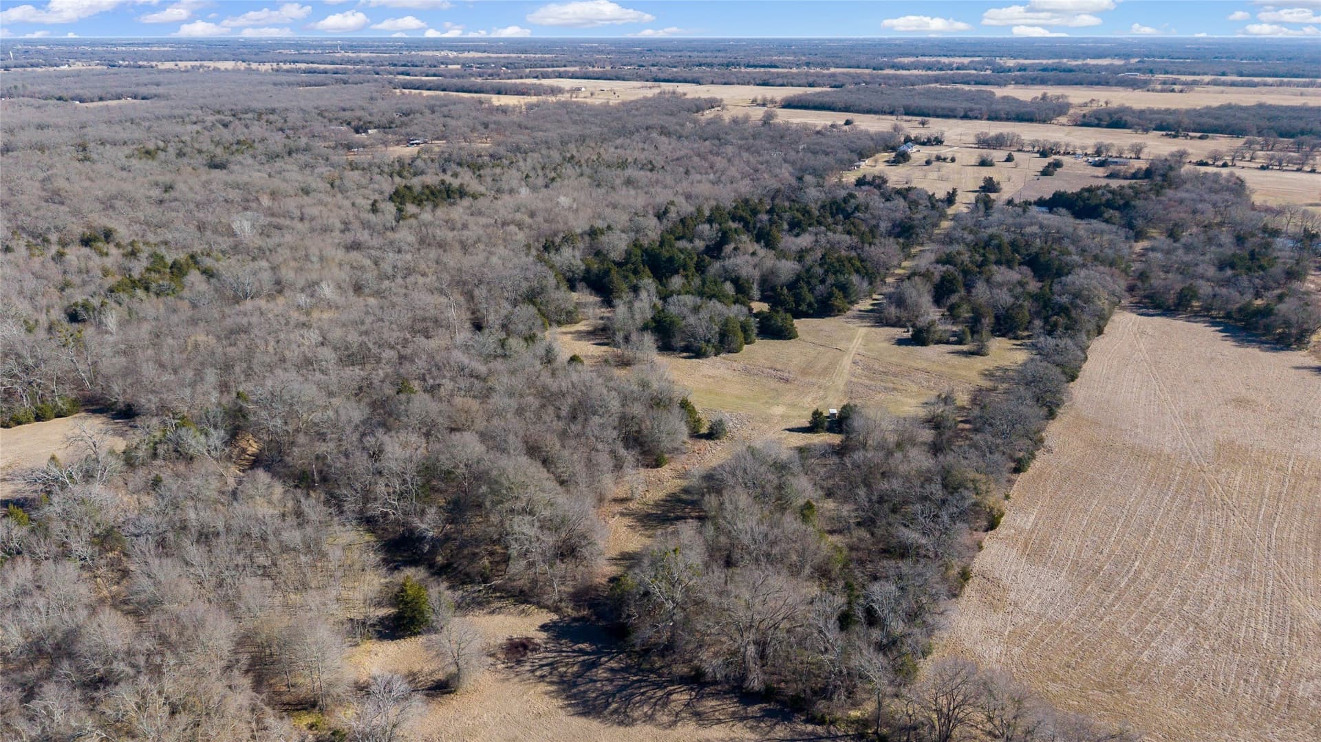 37.3 acres in Hopkins County - photo 18