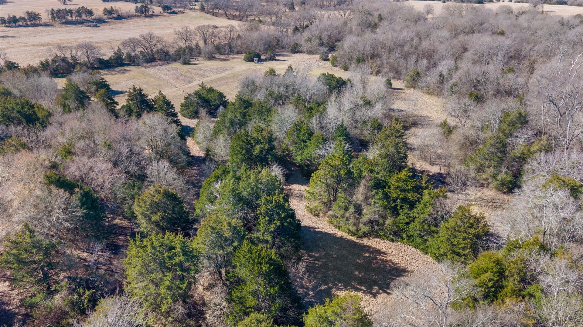 37.3 acres in Hopkins County - photo 19