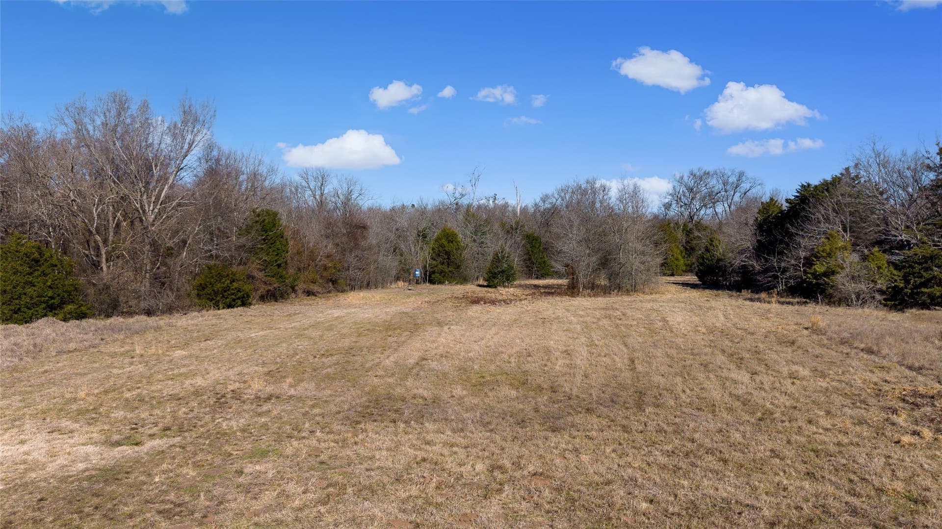37.3 acres in Hopkins County - photo 16