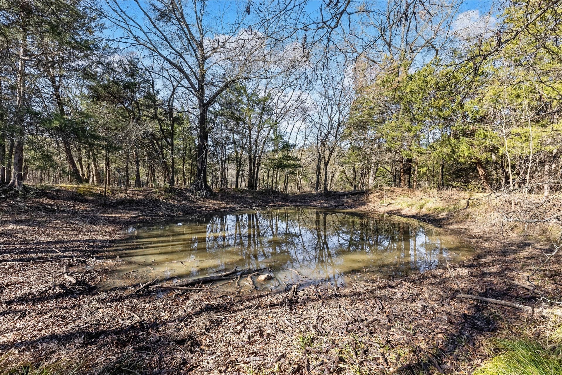37.3 acres in Hopkins County - photo 10