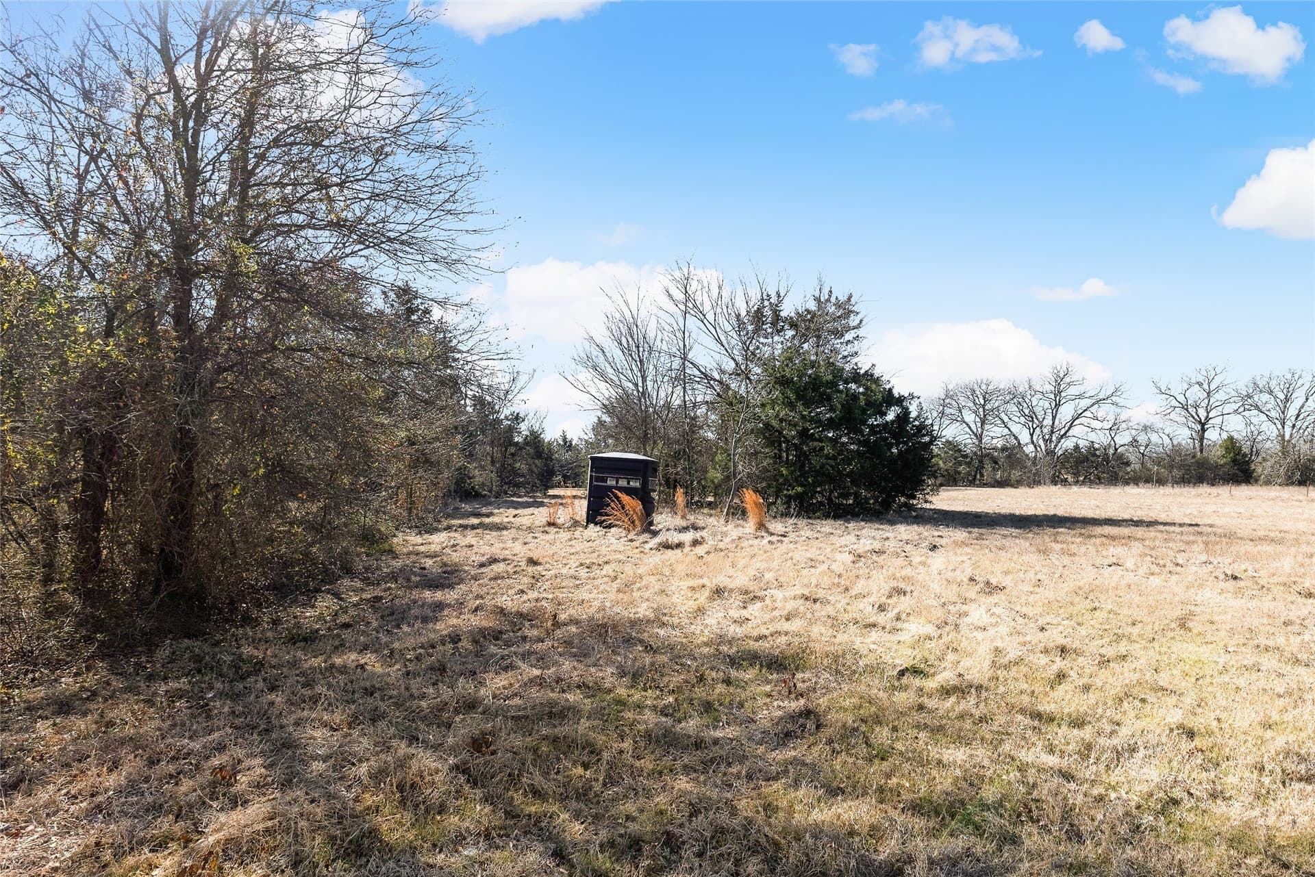37.3 acres in Hopkins County - photo 36