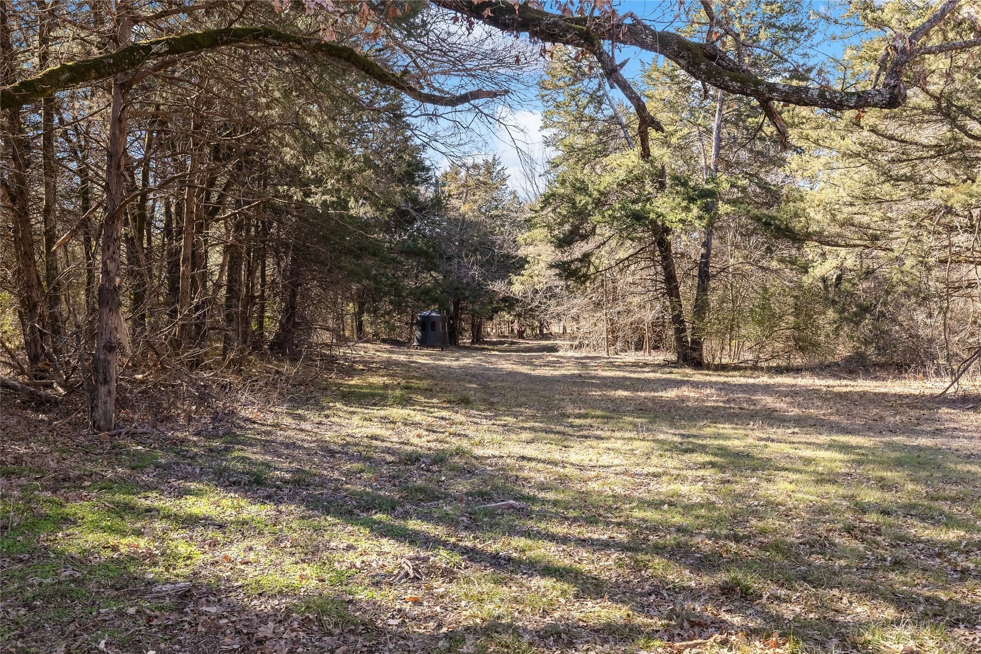 37.3 acres in Hopkins County - photo 35