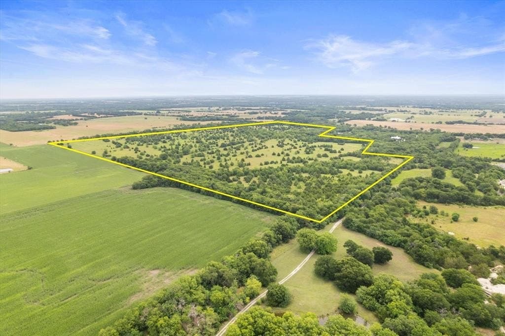 136.48 acres in Fannin County gallery image 4