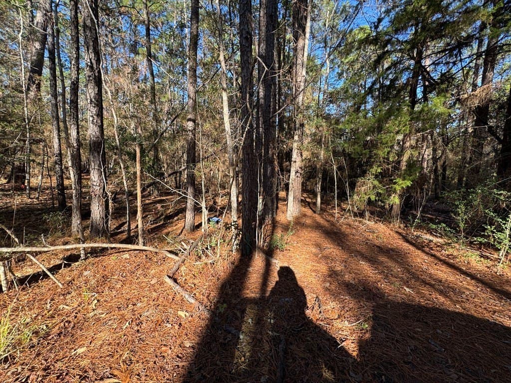 0.37 acres in Texas County gallery image 3