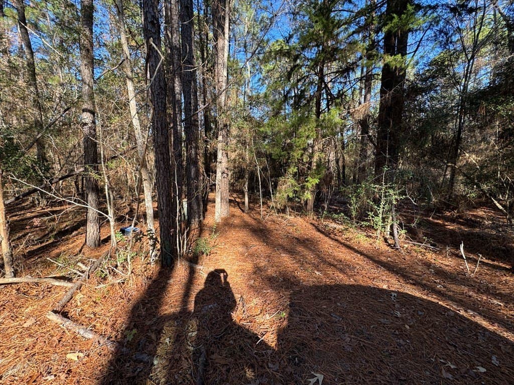 0.37 acres in Texas County gallery image 4