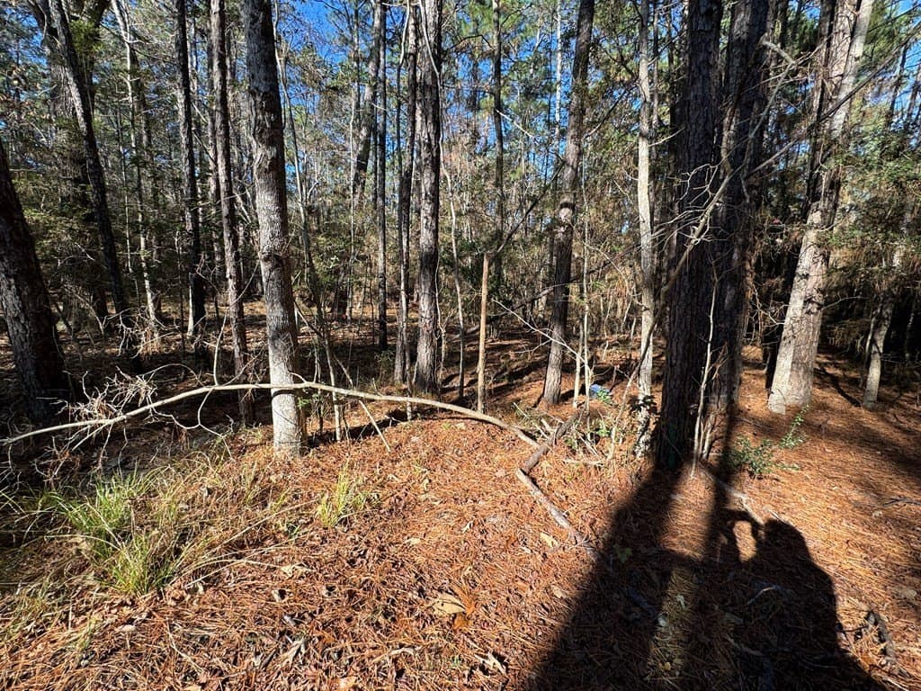 0.37 acres in Texas County gallery image 2