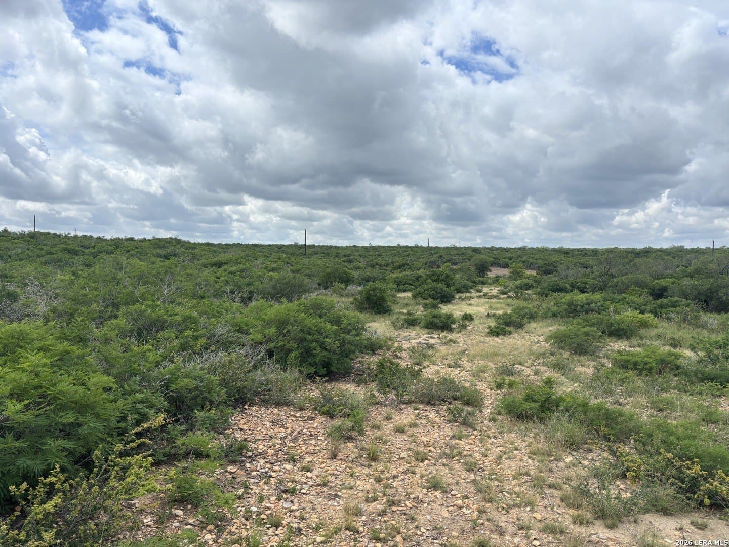 15 acres in Frio County featured view
