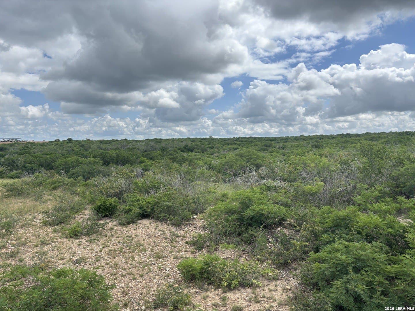 15 acres in Frio County gallery image 3