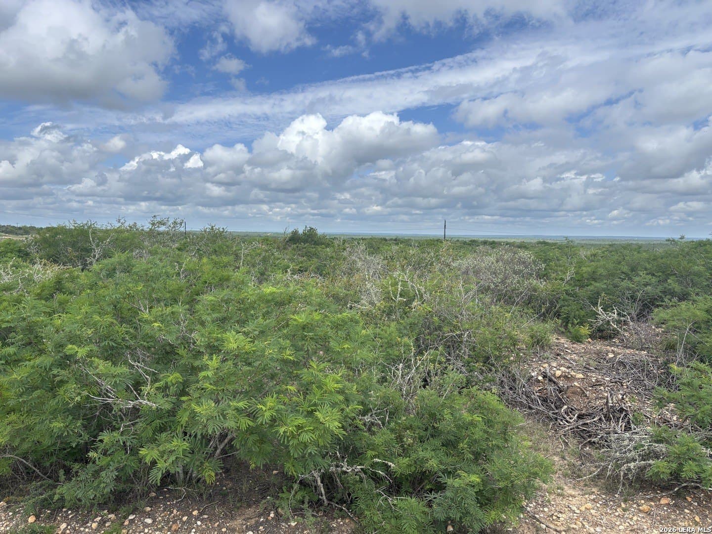 15 acres in Frio County gallery image 4
