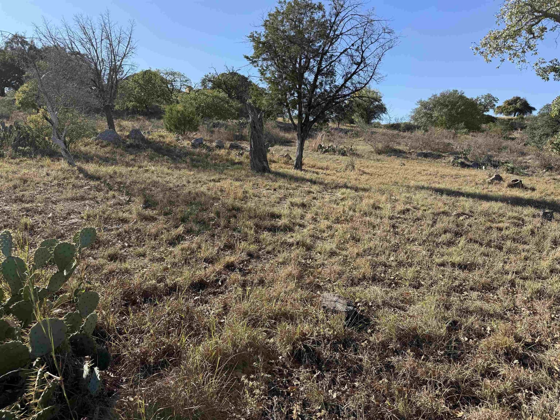 0.25 acres in Llano County gallery image 2