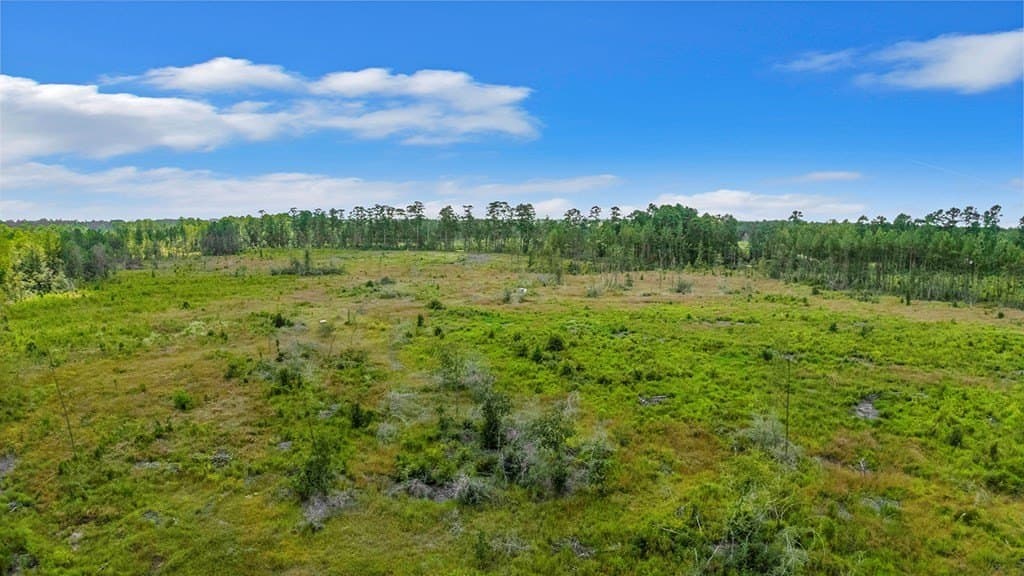 3 acres in Texas County - photo 3
